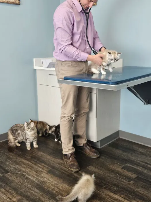 Klahaya Animal Hospital Picture 4