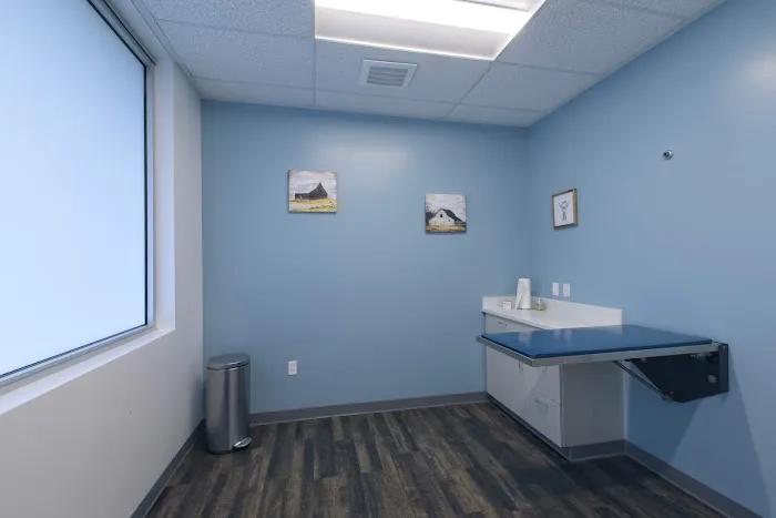 Klahaya Animal Hospital Picture 6