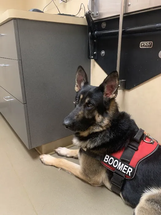 Snohomish Station Animal Hospital Picture 1