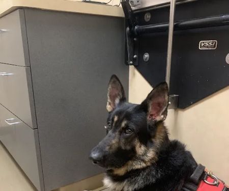 Snohomish Station Animal Hospital