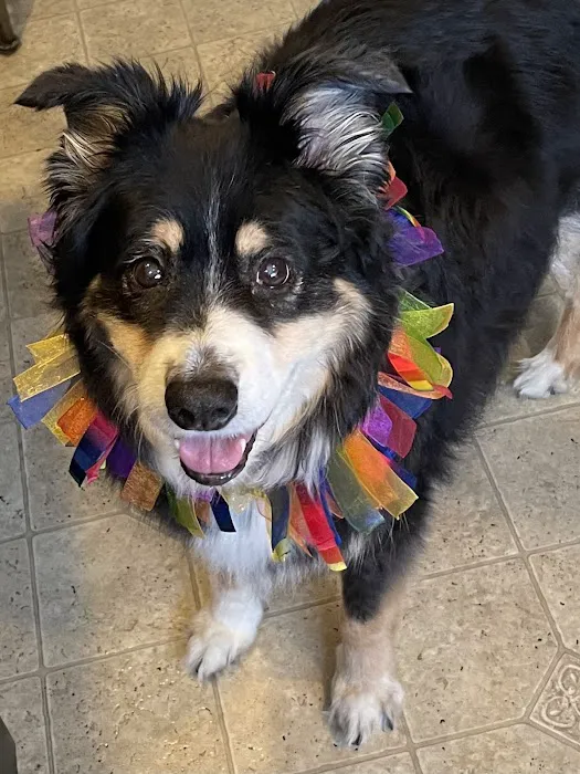 Everett Veterinary Hospital Picture 8