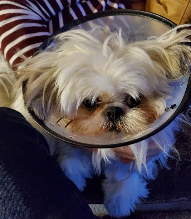 Broadway Animal Hospital Picture 1