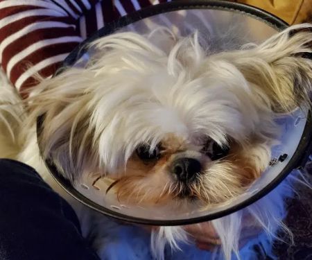 Broadway Animal Hospital