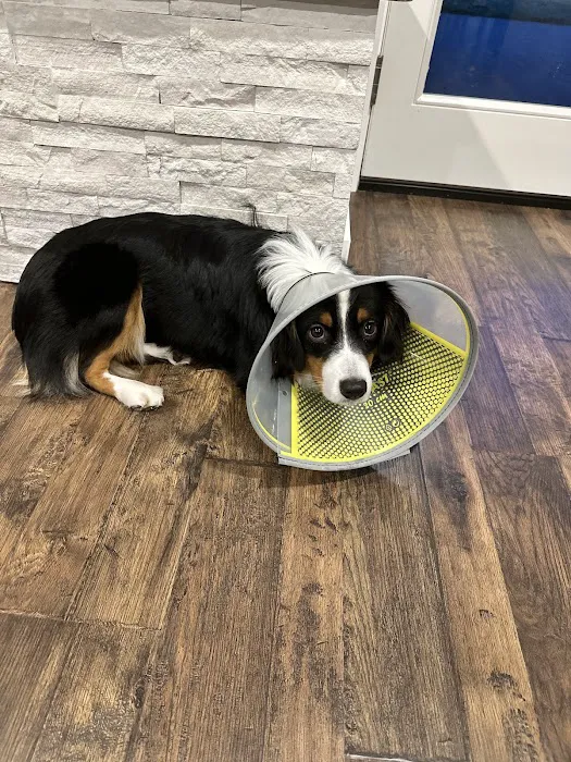 Frontier Village Veterinary Clinic Picture 5