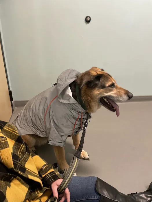 Frontier Village Veterinary Clinic Picture 3
