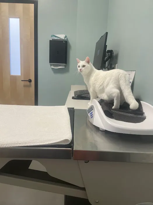 Frontier Village Veterinary Clinic Picture 8