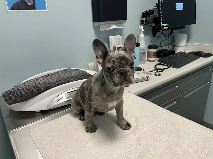 Frontier Village Veterinary Clinic Picture 7