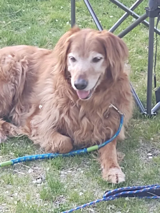 South Whidbey Animal Clinic Picture 2
