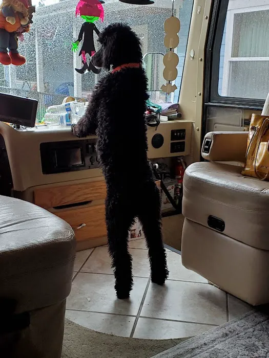 South Whidbey Animal Clinic Picture 10