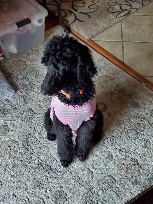 South Whidbey Animal Clinic Picture 9