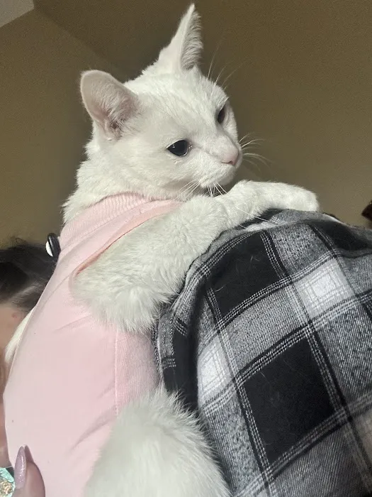 Banfield Pet Hospital Picture 10