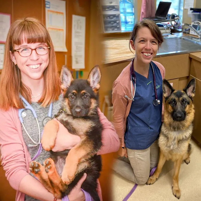 Purdy Veterinary Hospital Picture 1