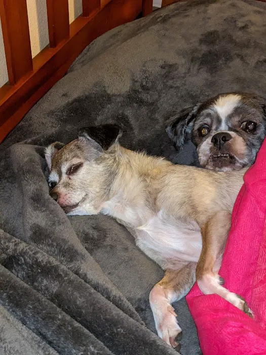 Purdy Veterinary Hospital Picture 8