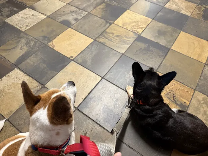 Purdy Veterinary Hospital Picture 5