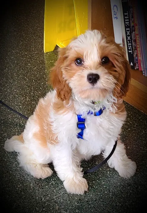 Minter Veterinary Hospital Picture 4