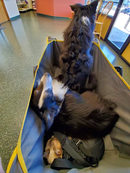 Minter Veterinary Hospital Picture 8