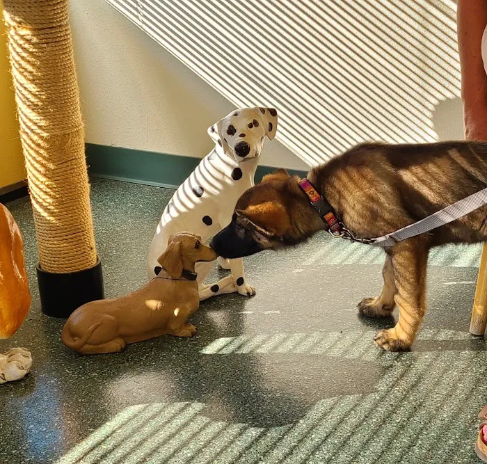Minter Veterinary Hospital Picture 7