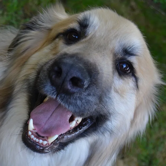 Brookside Veterinary Hospital Picture 4