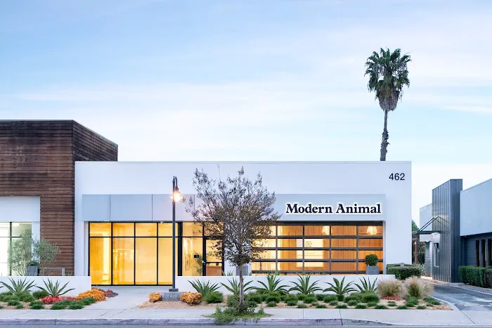 Modern Animal - Costa Mesa Picture 4
