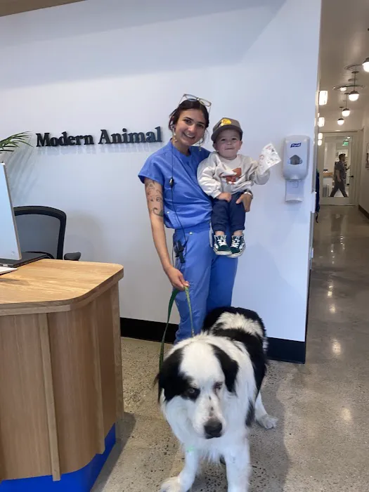 Modern Animal - Costa Mesa Picture 6
