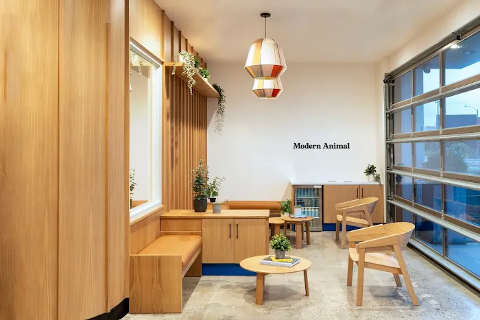 Modern Animal - Costa Mesa Picture 8