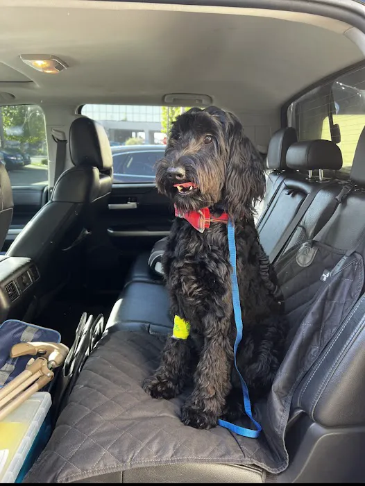 Costa Mesa Animal Hospital Picture 4