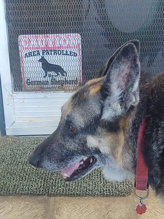 Costa Mesa Animal Hospital Picture 6