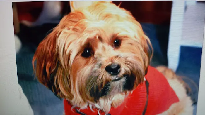 Mariners Mile Pet Clinic Picture 3