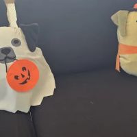 Mariners Mile Pet Clinic ico