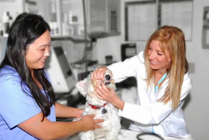 Mariners Mile Pet Clinic Picture 6
