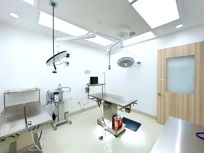 UrbanVet Picture 3