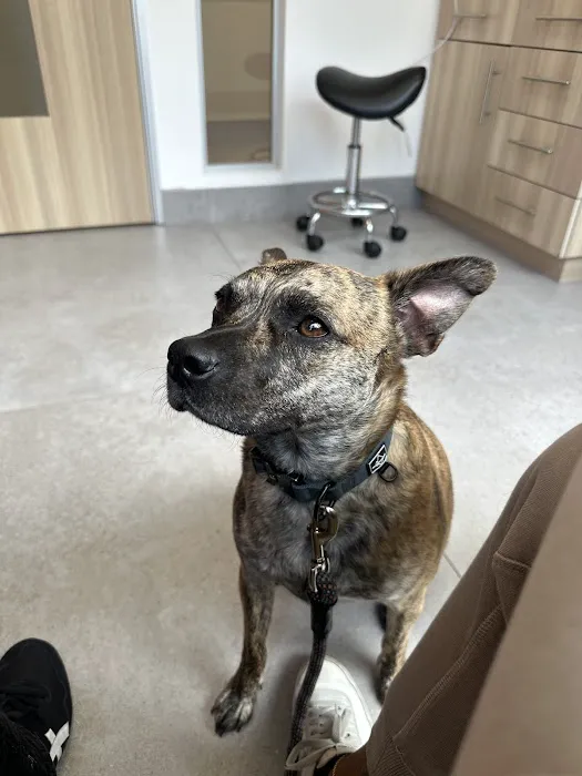 UrbanVet Picture 1