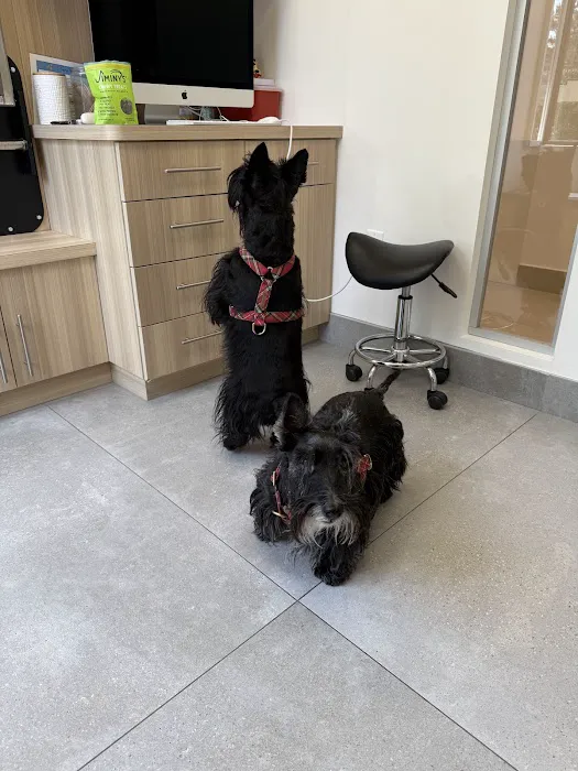 UrbanVet Picture 4