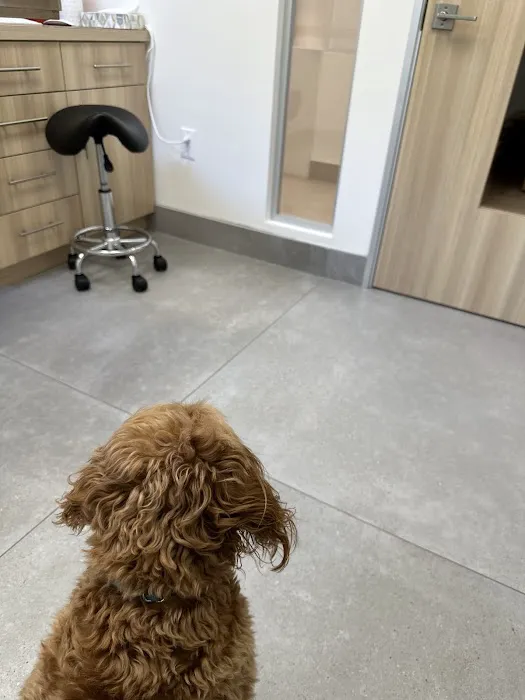 UrbanVet Picture 8