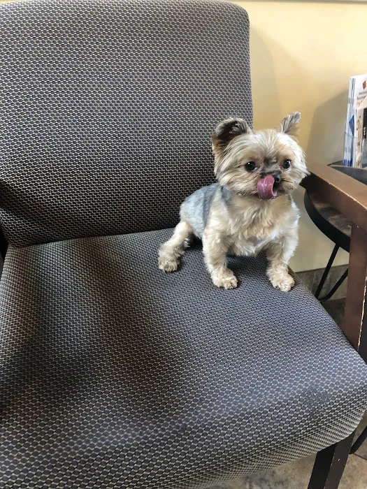Orange Hill Veterinary Hospital Picture 1
