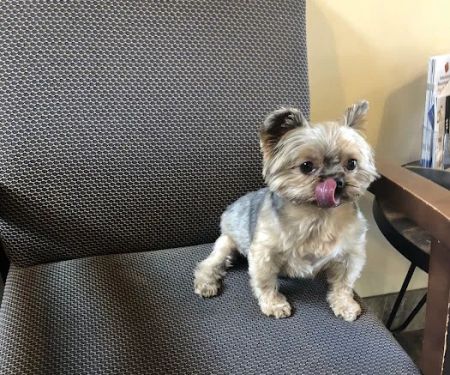 Orange Hill Veterinary Hospital