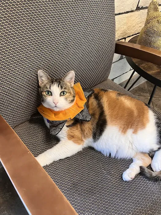 Orange Hill Veterinary Hospital Picture 4
