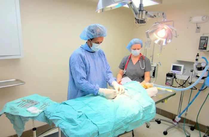 Orange Hill Veterinary Hospital Picture 8