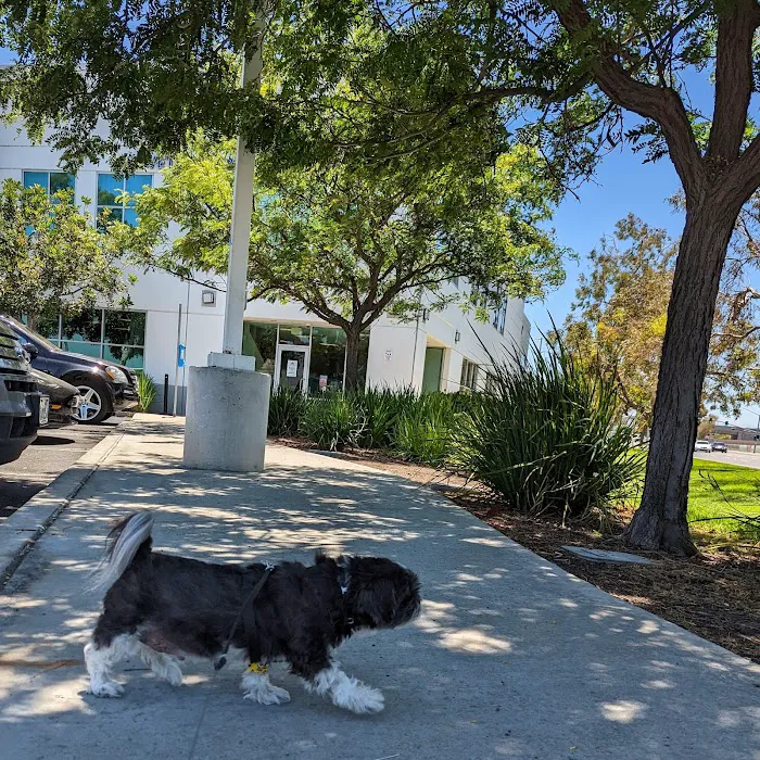 Veterinary Cancer Group OC, A Thrive Pet Healthcare Partner Picture 5