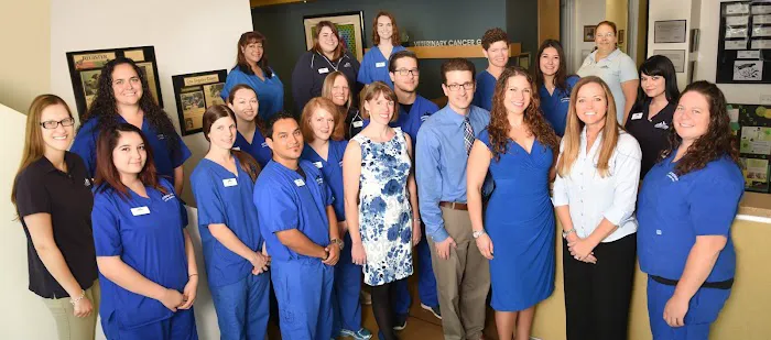 Veterinary Cancer Group OC, A Thrive Pet Healthcare Partner Picture 10