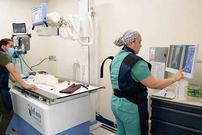 Veterinary Surgical Specialists Picture 6