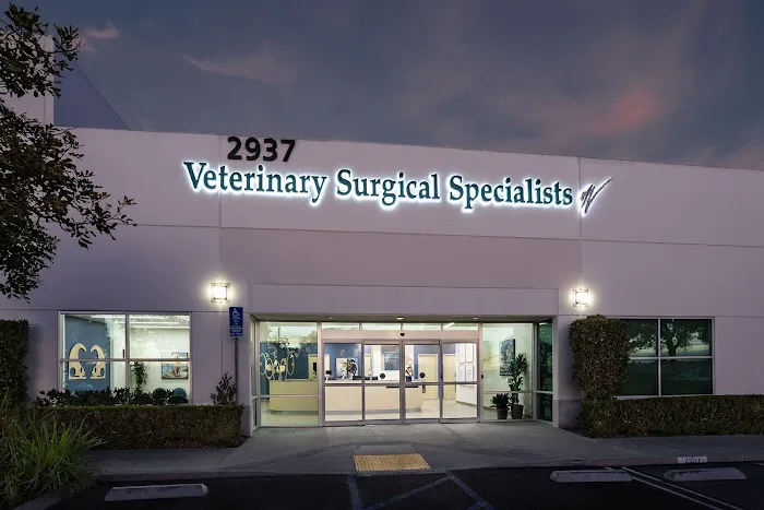 Veterinary Surgical Specialists Picture 10