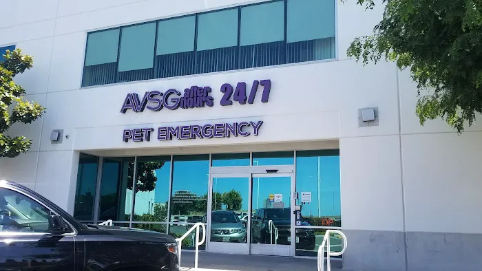 Animal Dermatology Clinic Picture 10