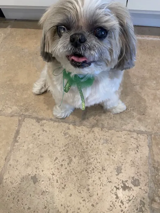 Banfield Pet Hospital Picture 7