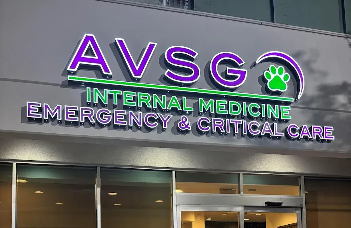 AVSG Internal Medicine Emergency & Critical Care Picture 1