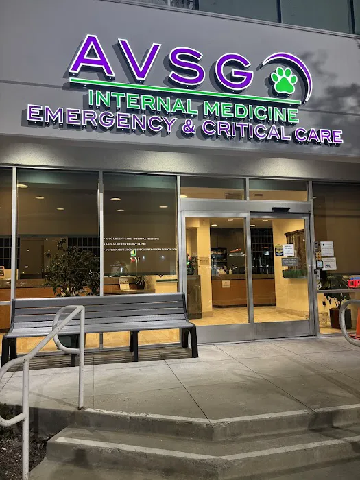 AVSG Internal Medicine Emergency & Critical Care Picture 4