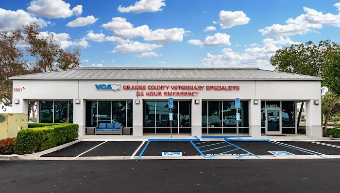 VCA Orange County Veterinary Specialists Picture 5