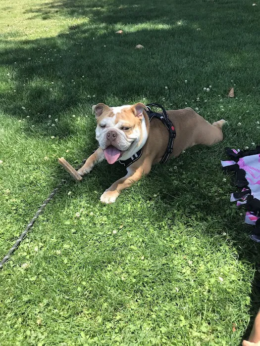Eye Care for Animals - Tustin Picture 8