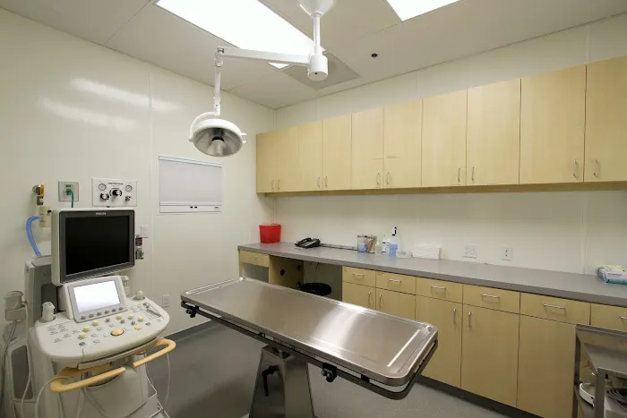 Advanced Veterinary Medical Imaging Picture 7