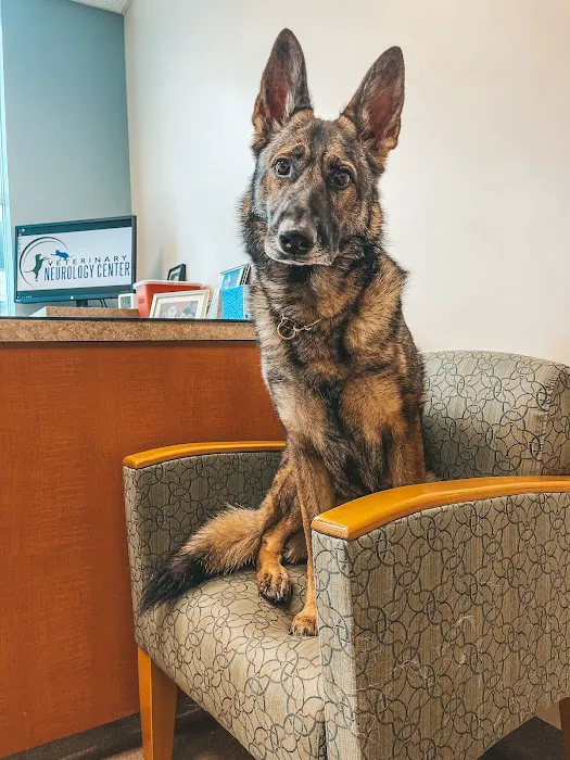 Veterinary Neurology Center Picture 1